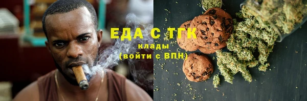 PSILOCYBIN Ельня