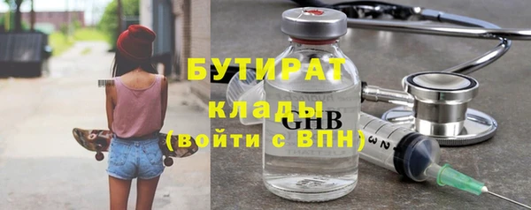 PSILOCYBIN Ельня