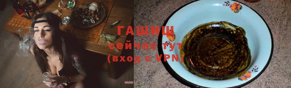 PSILOCYBIN Ельня