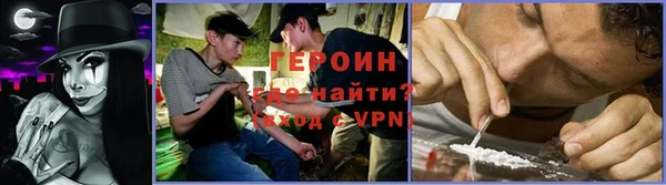 PSILOCYBIN Ельня