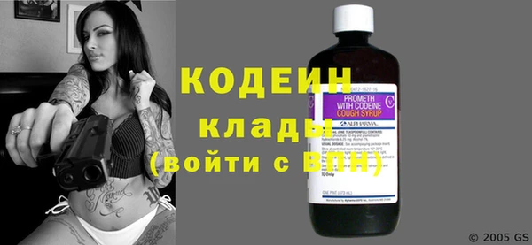 PSILOCYBIN Ельня