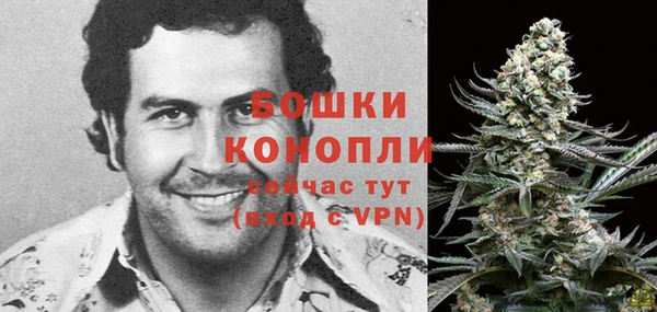 PSILOCYBIN Ельня