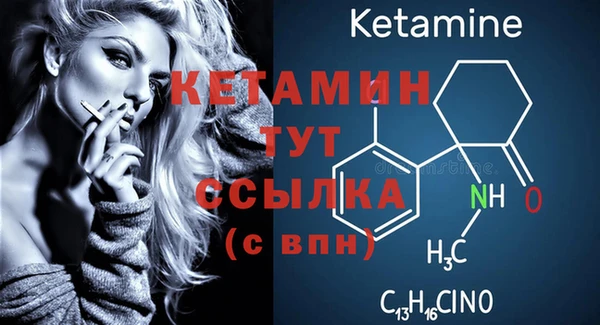PSILOCYBIN Ельня