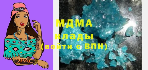 PSILOCYBIN Ельня