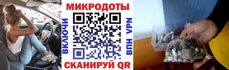 Псилоцибиновые грибы Psilocybine cubensis  Купить  Бугульма 